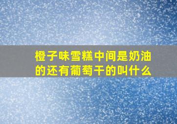 橙子味雪糕中间是奶油的还有葡萄干的叫什么