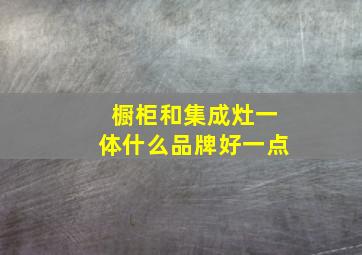 橱柜和集成灶一体什么品牌好一点