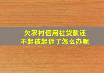 欠农村信用社贷款还不起被起诉了怎么办呢