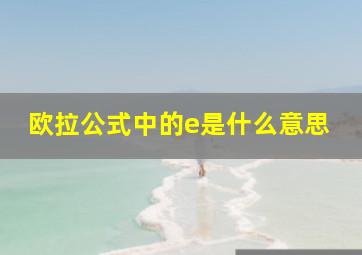 欧拉公式中的e是什么意思