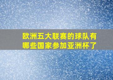 欧洲五大联赛的球队有哪些国家参加亚洲杯了