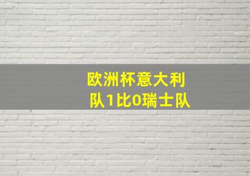 欧洲杯意大利队1比0瑞士队