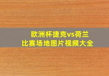 欧洲杯捷克vs荷兰比赛场地图片视频大全