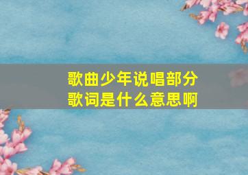 歌曲少年说唱部分歌词是什么意思啊