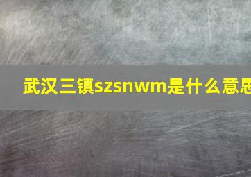 武汉三镇szsnwm是什么意思