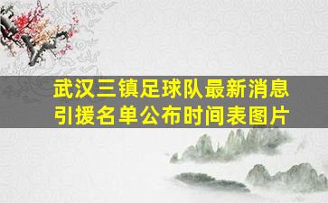 武汉三镇足球队最新消息引援名单公布时间表图片