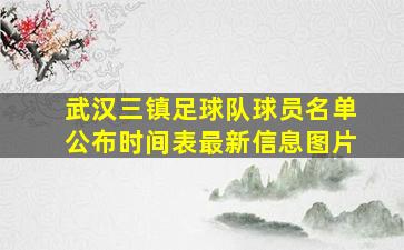 武汉三镇足球队球员名单公布时间表最新信息图片