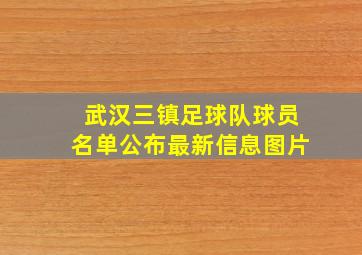 武汉三镇足球队球员名单公布最新信息图片