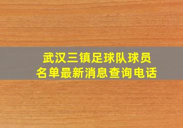 武汉三镇足球队球员名单最新消息查询电话