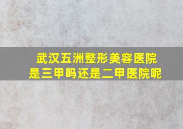 武汉五洲整形美容医院是三甲吗还是二甲医院呢