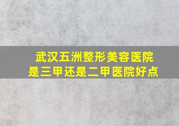 武汉五洲整形美容医院是三甲还是二甲医院好点