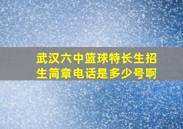 武汉六中篮球特长生招生简章电话是多少号啊