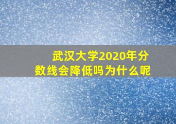 武汉大学2020年分数线会降低吗为什么呢