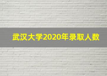 武汉大学2020年录取人数