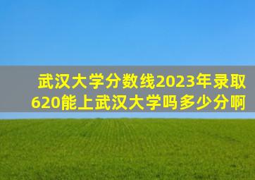 武汉大学分数线2023年录取620能上武汉大学吗多少分啊