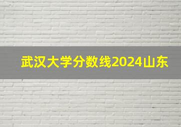 武汉大学分数线2024山东