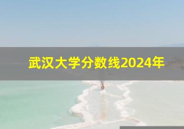 武汉大学分数线2024年