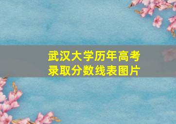 武汉大学历年高考录取分数线表图片