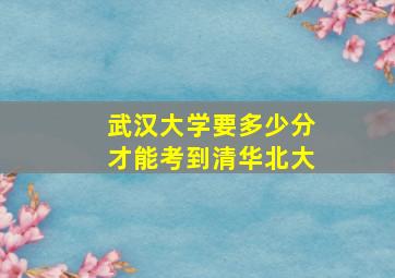 武汉大学要多少分才能考到清华北大