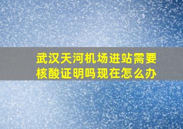 武汉天河机场进站需要核酸证明吗现在怎么办