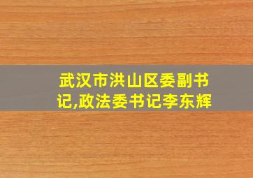 武汉市洪山区委副书记,政法委书记李东辉