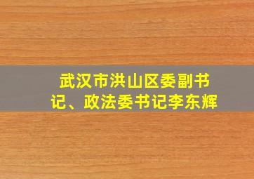 武汉市洪山区委副书记、政法委书记李东辉