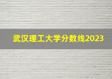 武汉理工大学分数线2023