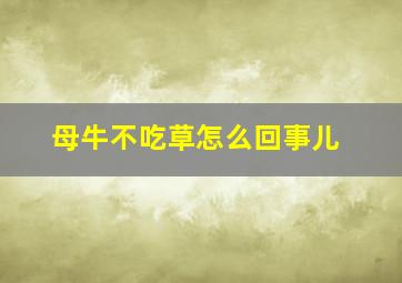 母牛不吃草怎么回事儿