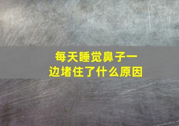 每天睡觉鼻子一边堵住了什么原因