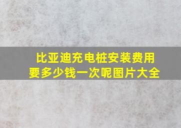 比亚迪充电桩安装费用要多少钱一次呢图片大全