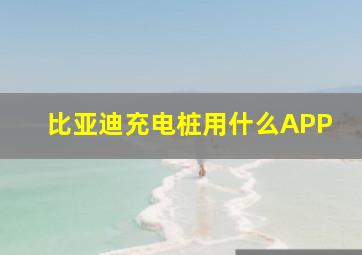 比亚迪充电桩用什么APP