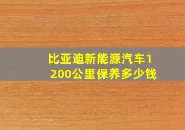 比亚迪新能源汽车1200公里保养多少钱