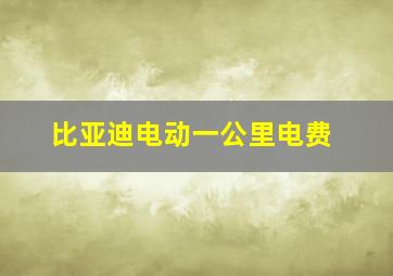 比亚迪电动一公里电费