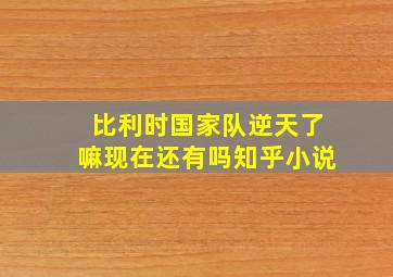 比利时国家队逆天了嘛现在还有吗知乎小说