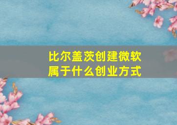 比尔盖茨创建微软属于什么创业方式