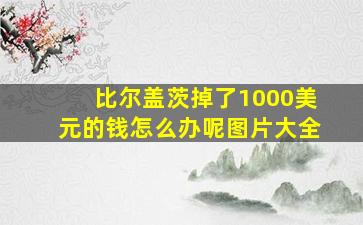 比尔盖茨掉了1000美元的钱怎么办呢图片大全