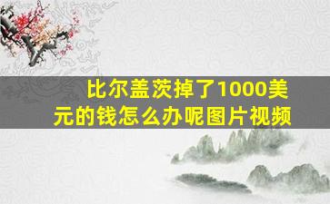 比尔盖茨掉了1000美元的钱怎么办呢图片视频