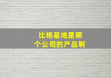 比格基地是哪个公司的产品啊