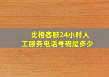 比格客服24小时人工服务电话号码是多少