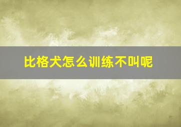 比格犬怎么训练不叫呢