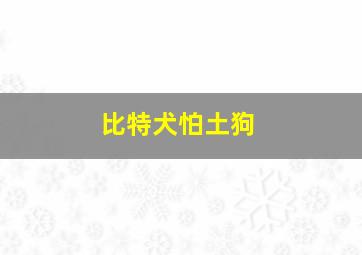 比特犬怕土狗