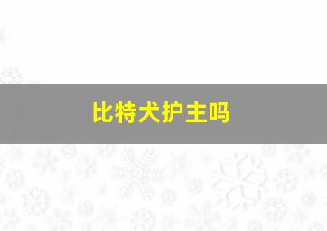 比特犬护主吗