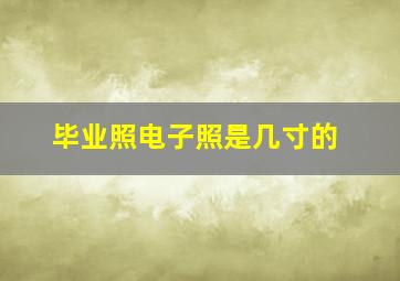 毕业照电子照是几寸的