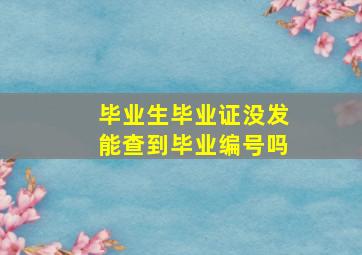 毕业生毕业证没发能查到毕业编号吗