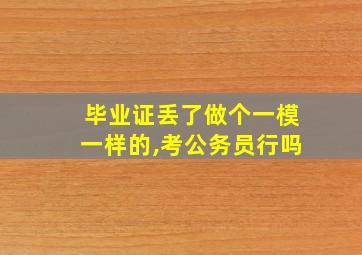 毕业证丢了做个一模一样的,考公务员行吗