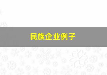 民族企业例子