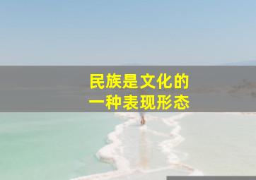 民族是文化的一种表现形态