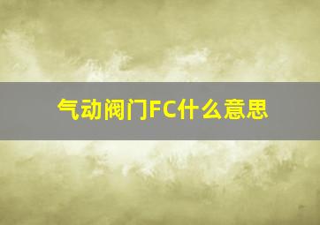 气动阀门FC什么意思