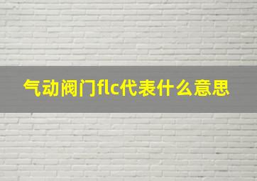 气动阀门flc代表什么意思