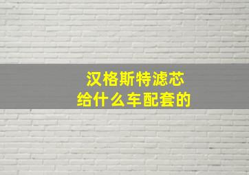 汉格斯特滤芯给什么车配套的